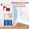 MoldSpray™ - Reinigungsspray