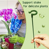SupportStake™ - Pflanzen unterstützen | 5+5 GRATIS!
