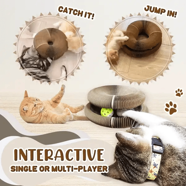 ScratchToy™ - Katzenkratzspielzeug