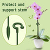 SupportStake™ - Pflanzen unterstützen | 5+5 GRATIS!