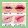 Laden Sie das Bild in den Galerie-Viewer, AloeLip™ - Aloevera Lippenstift