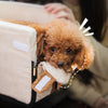 Laden Sie das Bild in den Galerie-Viewer, PetSeat™ - Autositz für Haustiere