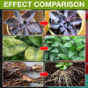 Laden Sie das Bild in den Galerie-Viewer, GrowPlant™ - Pflanzenwachstumsspray | 1+1 GRATIS!