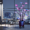 MagicLit™ - LED Zimmerpflanze